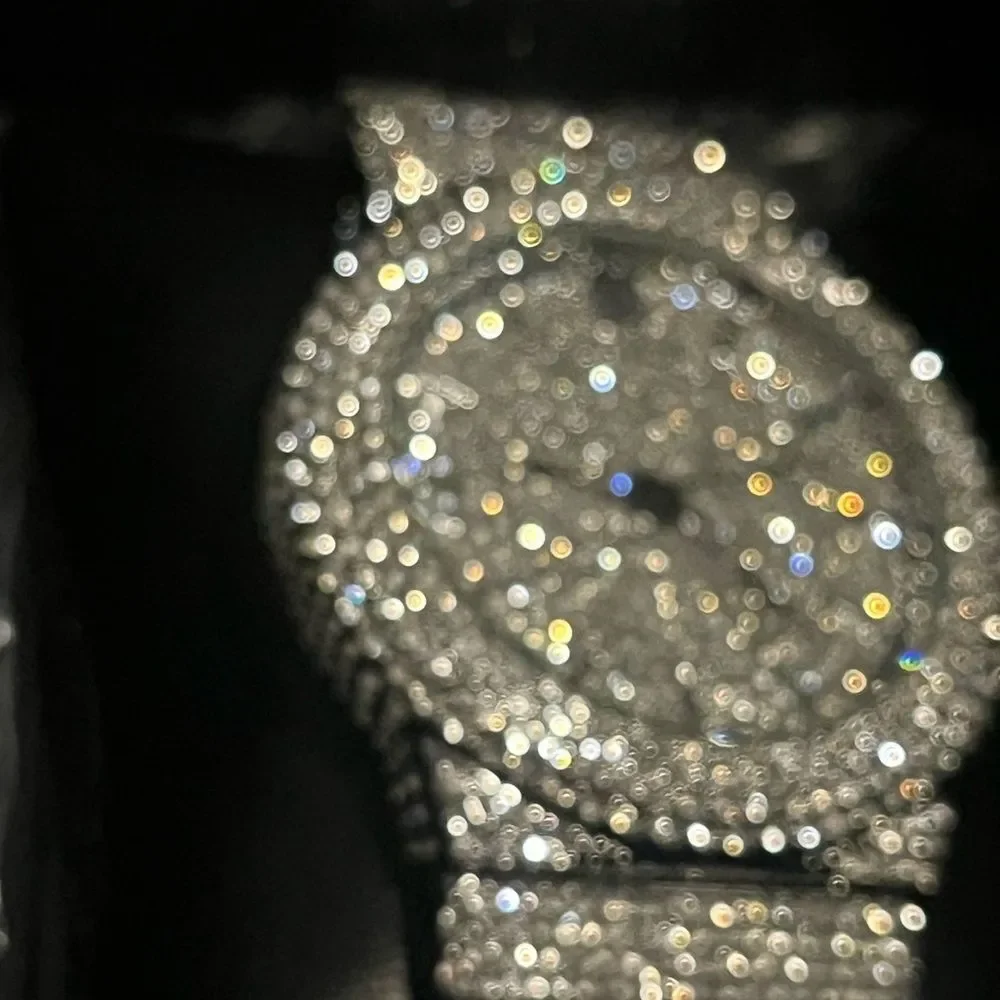 VVS Bustdown Simulated Diamond Stainless Steel Iced Out Watch Luxury HipHop